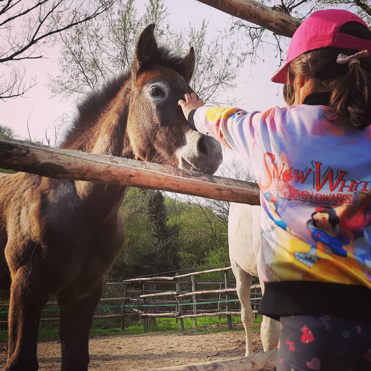 Escursioni a cavallo