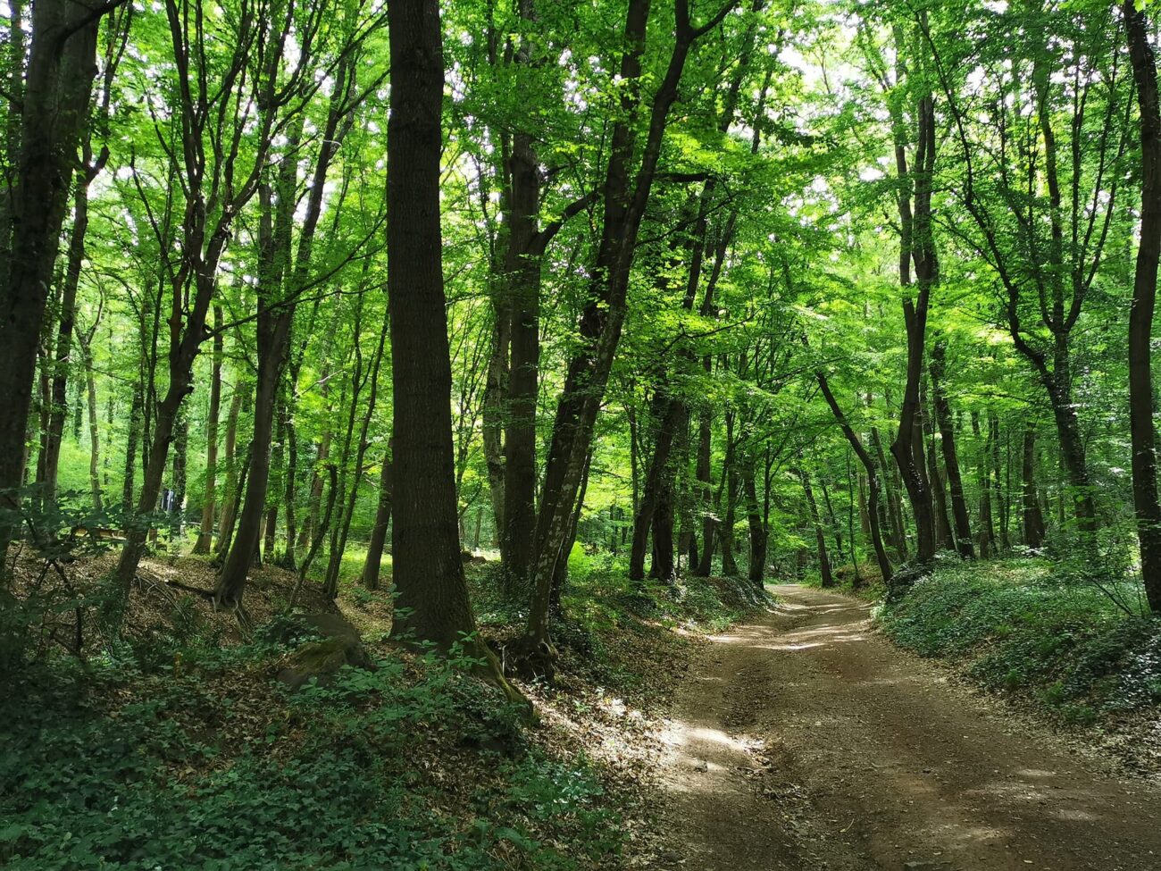 Parco Naturalistico di Turona