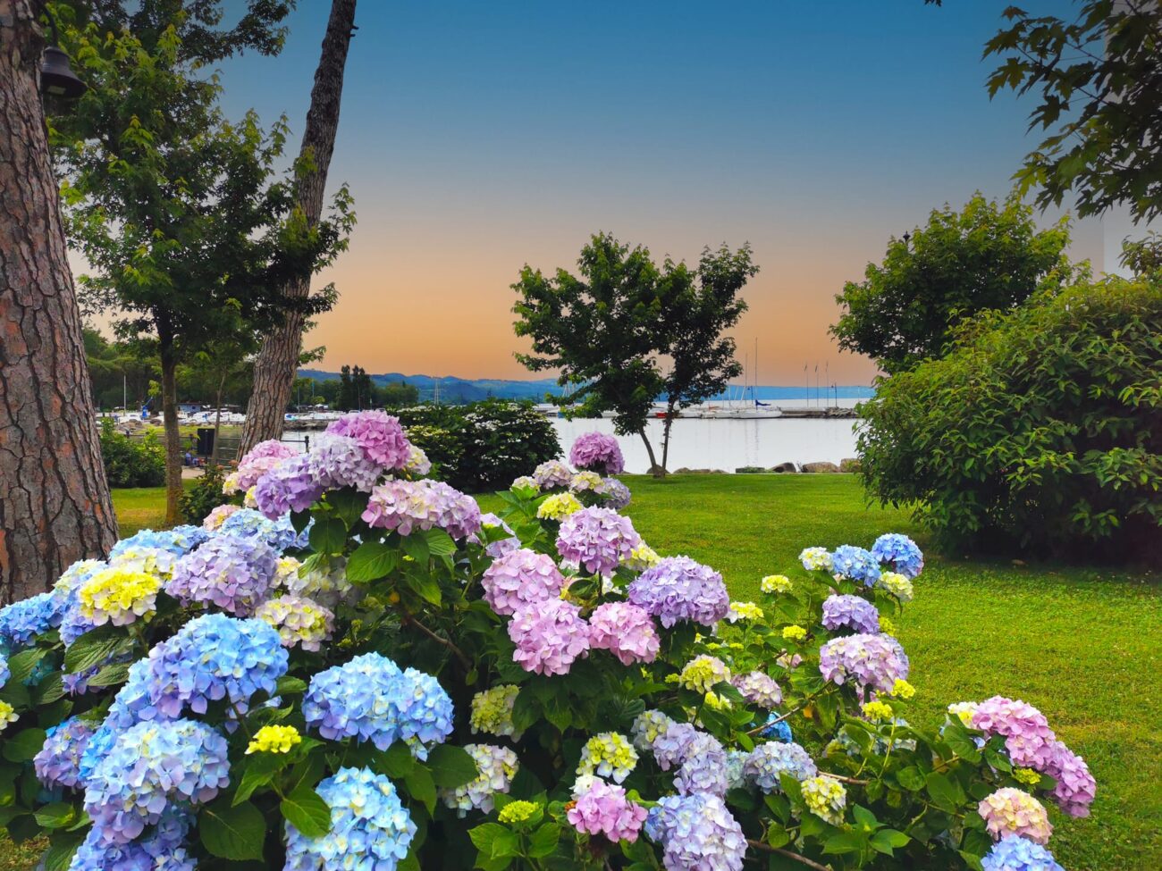 Panoramic Roller, Walking and Fitness Trail