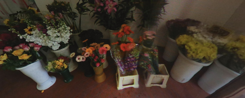 Negozio di Fiori e Addobbi per cerimonie “Aria di Primavera”